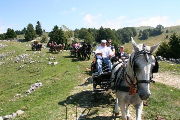 Отель Campeggio Branchetto Боско-Кьезануова Экстерьер фото