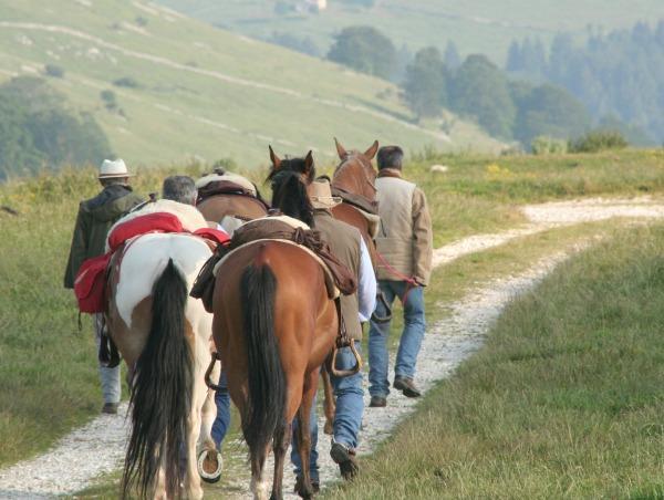 Отель Campeggio Branchetto Боско-Кьезануова Экстерьер фото