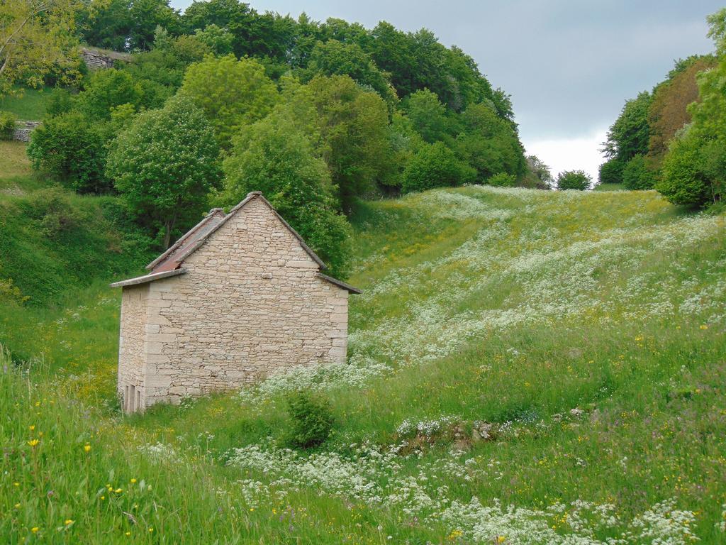 Отель Campeggio Branchetto Боско-Кьезануова Экстерьер фото